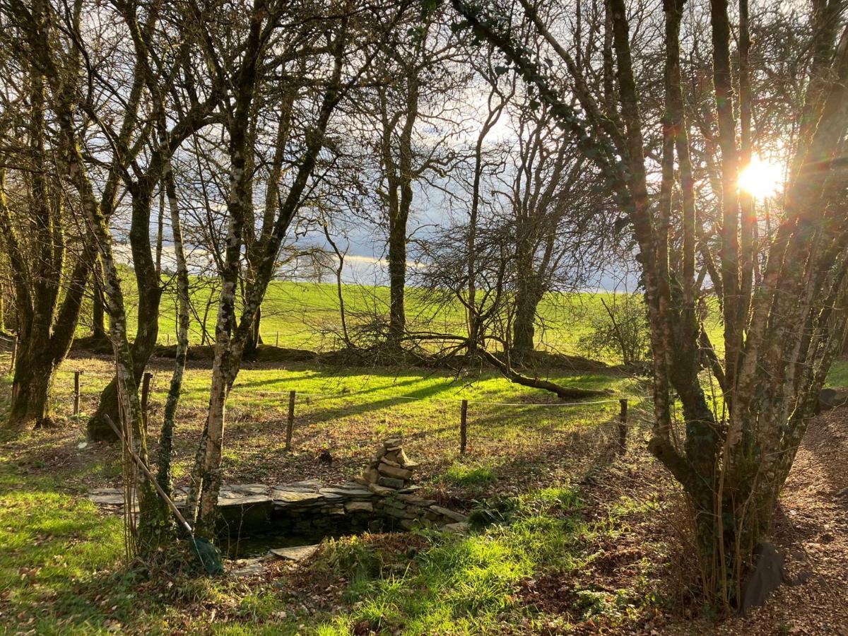 Cottage Breton - Gite De Charme En Centre Finistere Plonévez-du-Faou 외부 사진